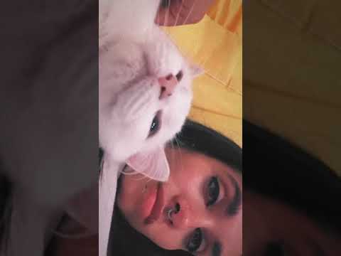 MARIA BECERRA ACOSTADA CON SU GATITA 🐈