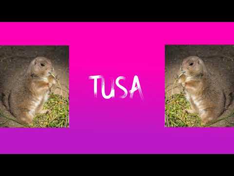 KAROL G, Nicki Minaj – Tusa