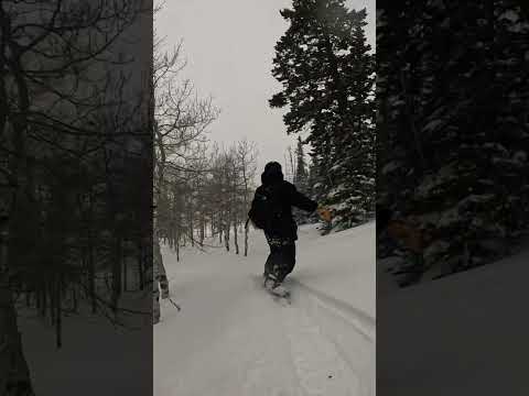@NitroSnowboardsOfficial ​@SlushtheMagazine @snowpiratesco