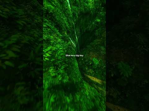 SZA – Big Boy (Lyrics) | aesthetic | whatsapp Status | English song |slowed #sza
