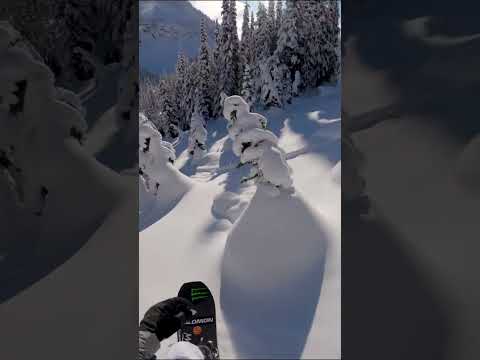 B.C. Fun Run POV