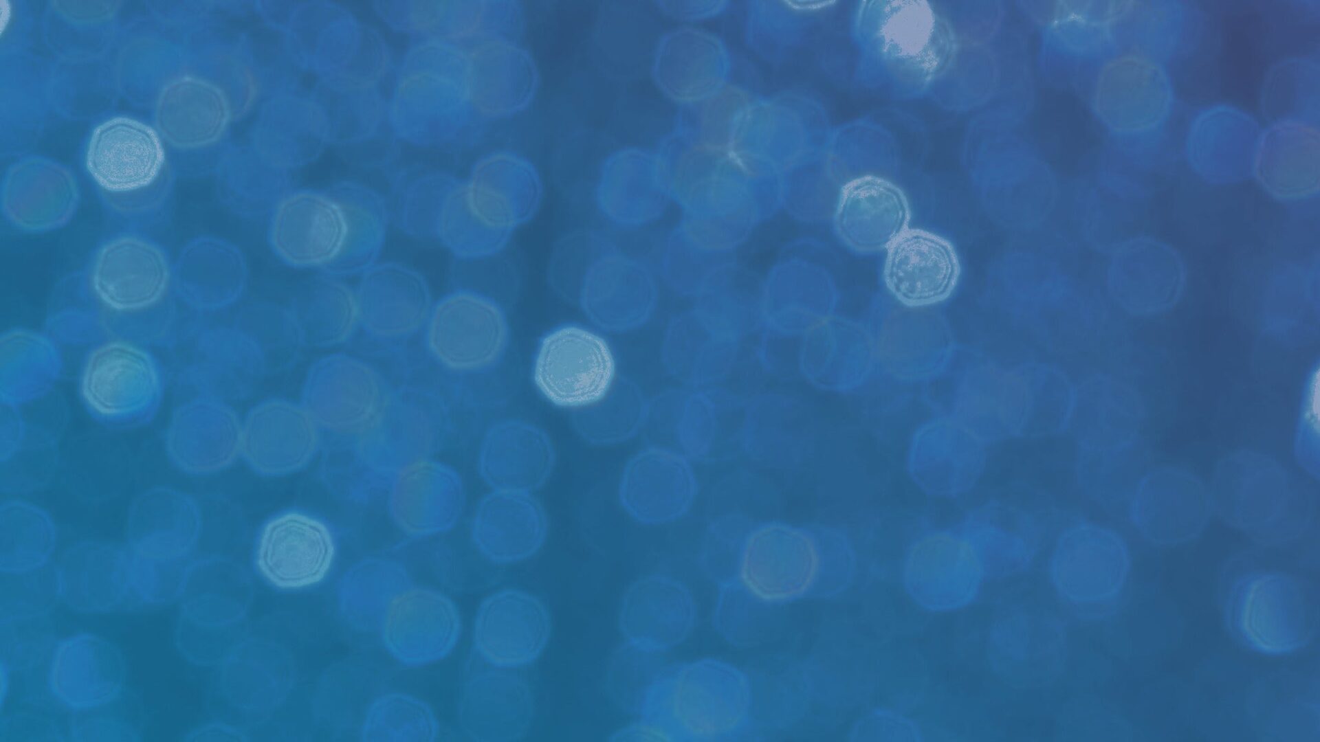 Suite Premium – Music Fest