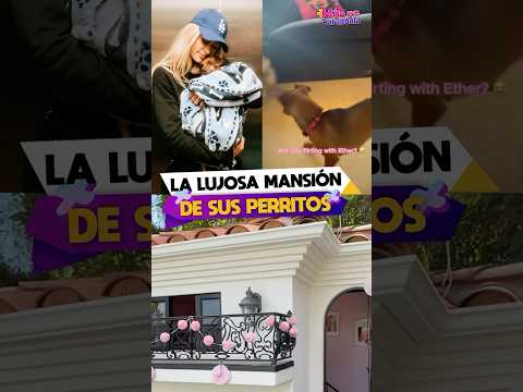 La lujosa mansión que Paris Hilton le hizo a sus perritos.