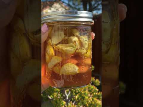 fermented-garlic-honey-super-immunity-booster.jpg Fermented Garlic Honey! (super immunity booster!)