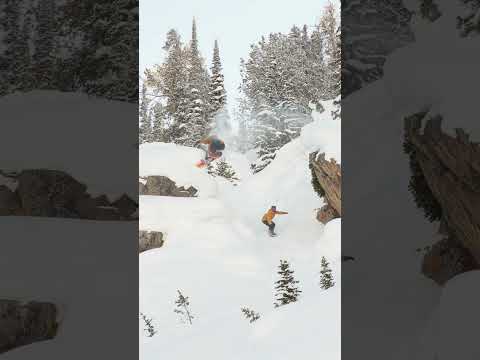 If a homie asked you to jump off a cliff, would you jump over them??