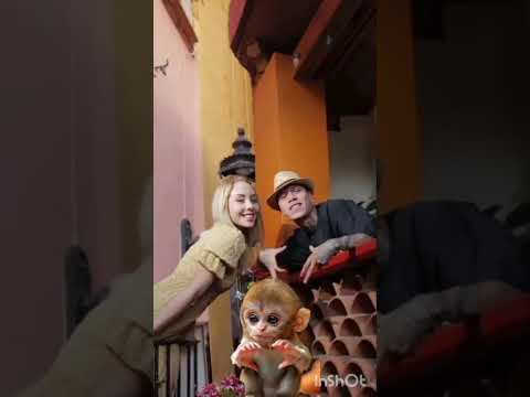 Santa Fe Klan @SantaFeKlanOfficial Maya Nazor @MayaNazor