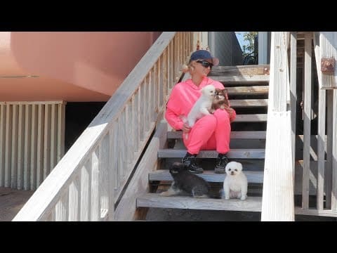 Paris Hilton’s Home Activities: Malibu Quarantine Edition | Paris Hilton