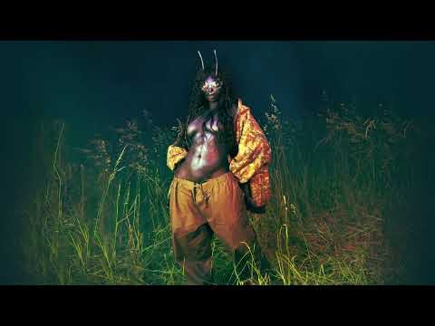 SZA – Scorsese Baby Daddy (Official Audio)