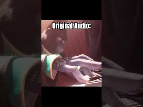 SING Piano Scene But THIS HAPPENS.. 🤨👀 #piano #pianotutorial