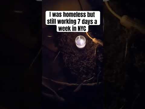 Homeless & still working 7 days a week | what it really takes to make your dreams come true #pov