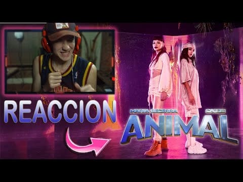 REACCIONO A Maria Becerra, Cazzu – ANIMAL (Official Video) // las DIOSAS del TRAP 😻