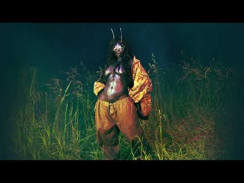 SZA – Diamond Boy (DTM) [Official Audio]