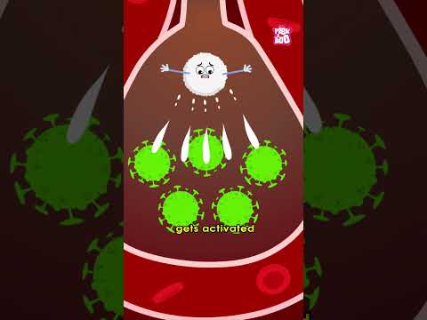 What Is PNEUMONIA? | Respiratory Disease #shorts