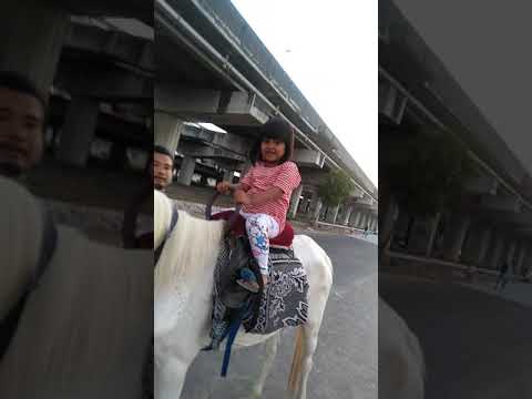 sofia mila sabrina(14)