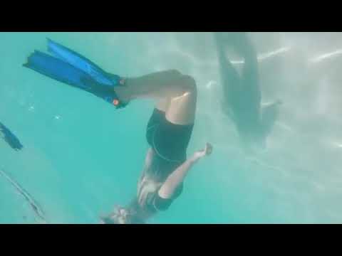 ocean karol g