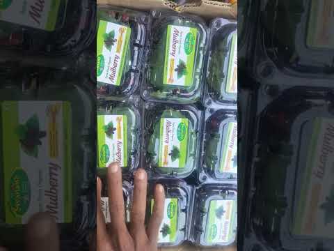 https://studio.youtube.com/channel/UC9TO_oo4c_LrOiKNaY6aysA/collaboration/UCaEewcFScDUVP7UYf1GXUuQ