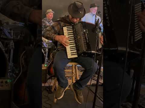 Neville Brothers Yellow Moon Free Elements Band 11/12/25 Woodhouse Brew #nevillebrothers #accordian