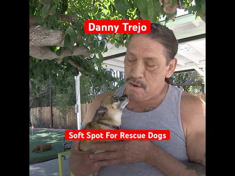 Tough guy Danny Trejo’s soft spot for rescue dogs
