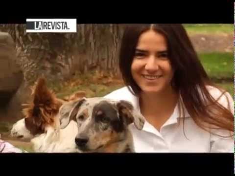 Dumar Roa el “Corazón de León” de las Artes Marciales Mixtas, Lado A y Yerick Rey con nuevo sencillo