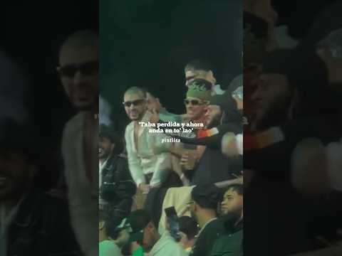 Feid, Bad Bunny • Perro Negro🐰💚 | #Shorts