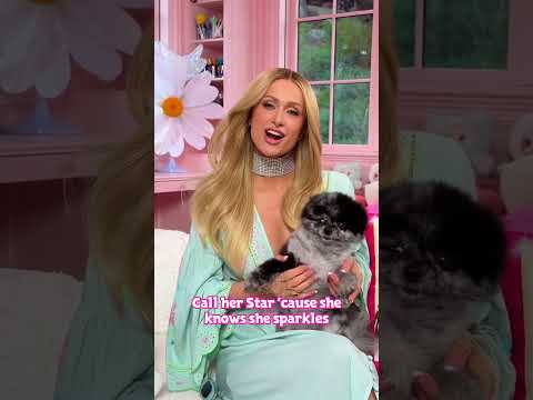 We are pupsessed with @ParisHilton ‘s new song #StarkleOn