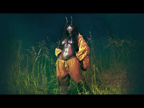 SZA – Chill Baby (Official Audio)