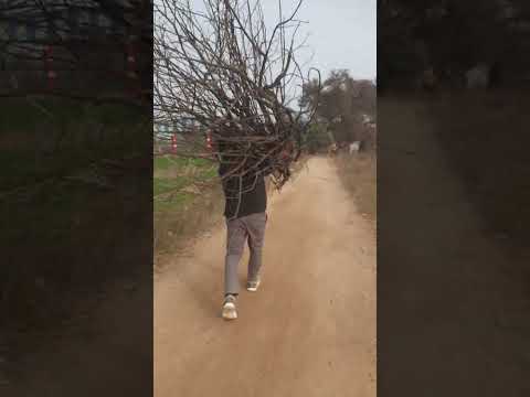 https://studio.youtube.com/channel/UC9TO_oo4c_LrOiKNaY6aysA/collaboration/UCM9CzYe6m6pkxEawwng_0sQ
