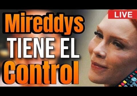 MIREDDYS maniobra para QUITARLE a DADDY YANKEE el CONTROL de las EMPRESAS