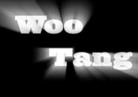 WOO TANG SONG-HOT HOT HOT !!!!!!!! djchipman