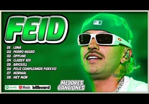 Feid Mix Éxitos 2024 &#8211; Lo Más Popular de Feid 2024