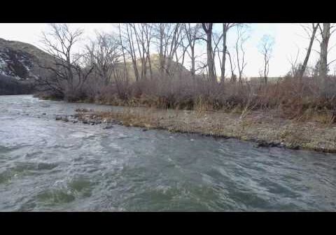 Truckee River Reno, NV