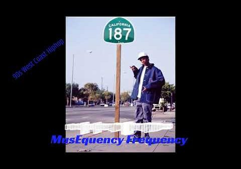 New Level Chill Snoop Dogg Daz Kurupt Nate Dogg G Funk Frequency