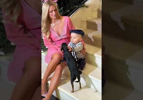 When your baby loves puppies as much as you Do?  #Slivmas #ThatsHot | Paris Hilton