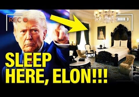 Trump BEGS Elon to SLEEP WITH HIM in WH after DISASTER