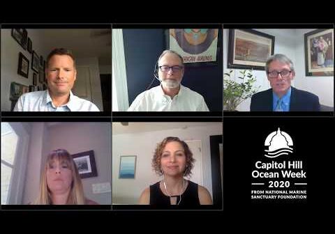 The Power of Protection &#8211; Capitol Hill Ocean Week 2020