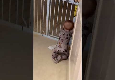 Look who just started crawling???? #SlivingMom ? | Paris Hilton