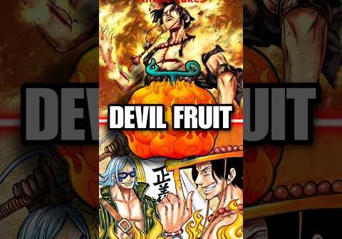 What Happens if Two People Eat the Same Devil Fruit? | One Piece
