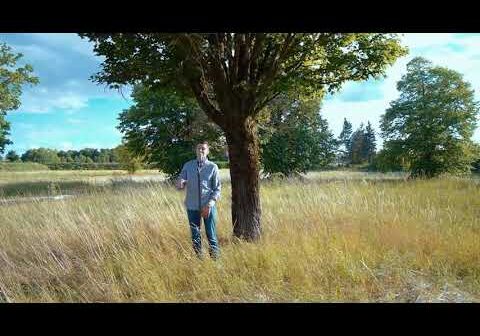 Despacito – AUF DEUTSCH ( German Cover by Voyce ) – Luis Fonsi