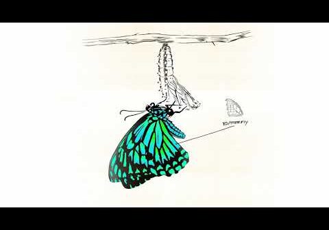 Kehlani – Butterfly (Official Audio)