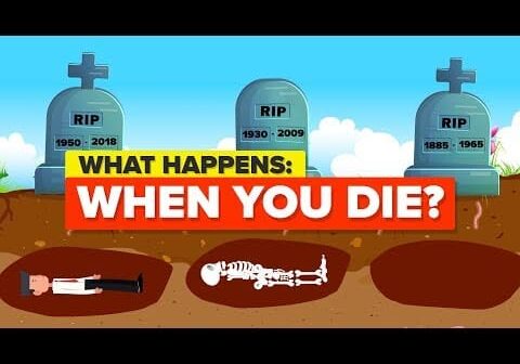 What Happens When You Die?