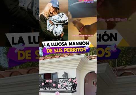 La lujosa mansión que Paris Hilton le hizo a sus perritos.