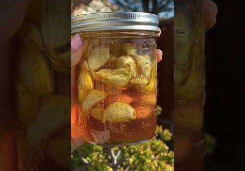 Fermented Garlic Honey! (super immunity booster!)