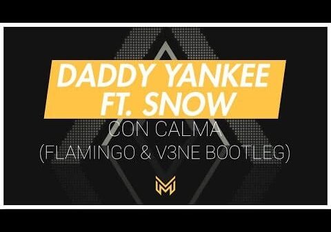 Daddy Yankee ft. Snow – Con calma (Flamingo & V3NE Bootleg)
