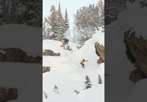 If a homie asked you to jump off a cliff, would you jump over them??