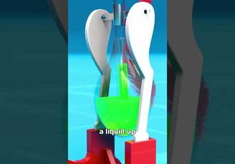 How The Drinking Bird Works 🤔