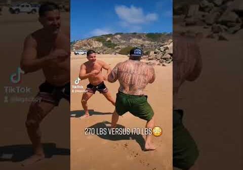 WHO WINS THIS FIGHT?