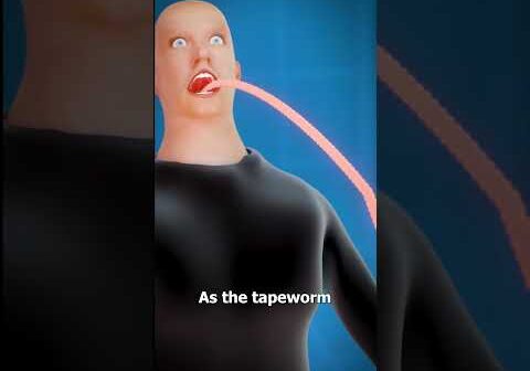 What Is A Tapeworm? 😨