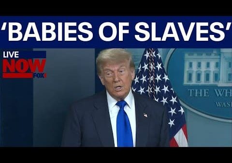 FULL: Trump birthright citizenship remarks “Meant for babies of slaves”