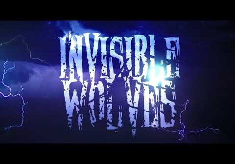 The Shape – Invisible Wolves (Official Music Video)