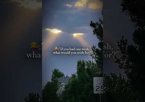 Never gonna happen..